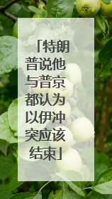 特朗普说他与普京都认为以伊冲突应该结束